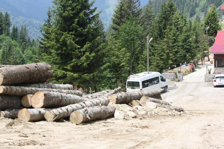 Fotoğraflar: DHA
