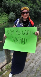 yesil yol camlihemsin 6