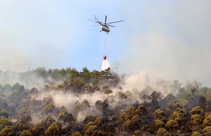 Fotoğraflar: DHA