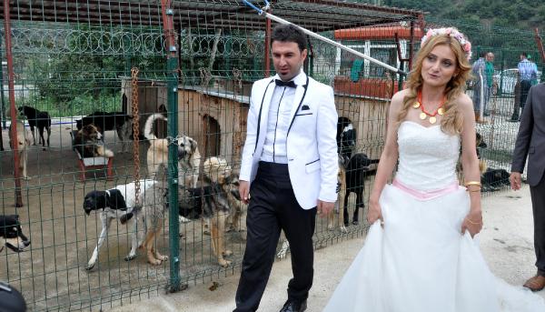 Fotoğraf: DHA