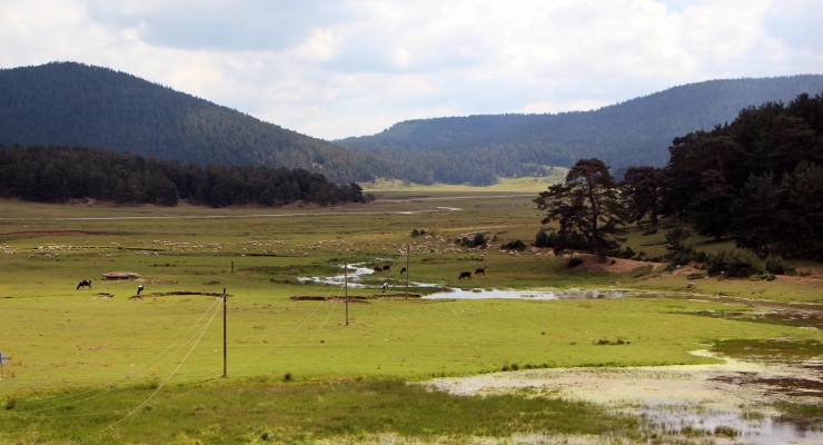 Fotoğraflar: DHA