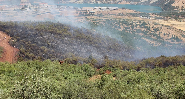 Fotoğraf: Dersimnews.com
