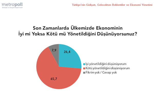 ekonomi yönetim metropoll