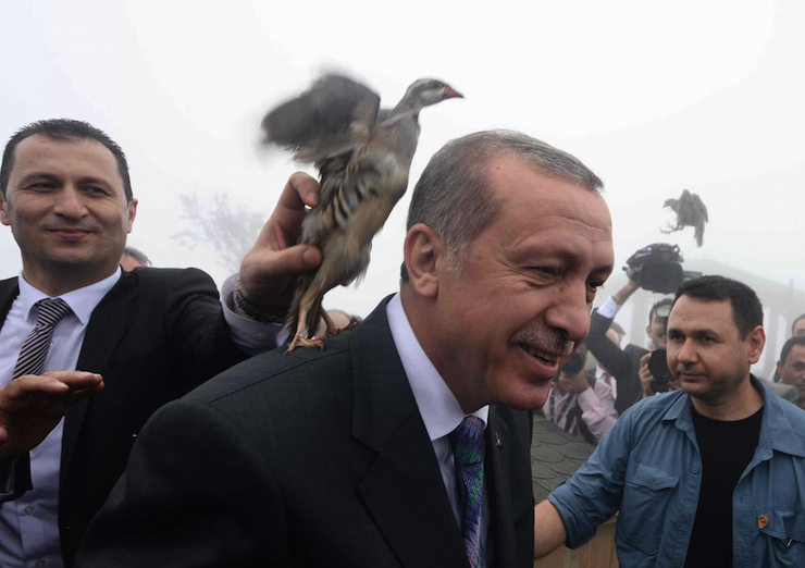 erdogan kus1