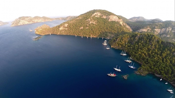 gocek1