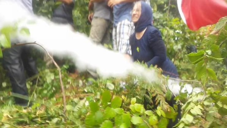 ordu fatsa 2