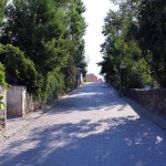 varto3