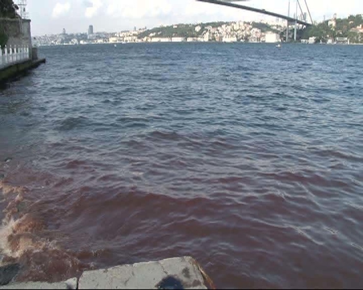 Fotoğraf: DHA