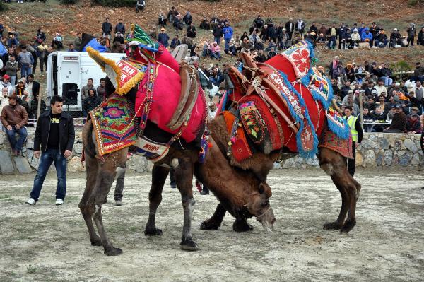 Fotoğraflar: DHA