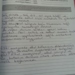 fatih bulugir 4