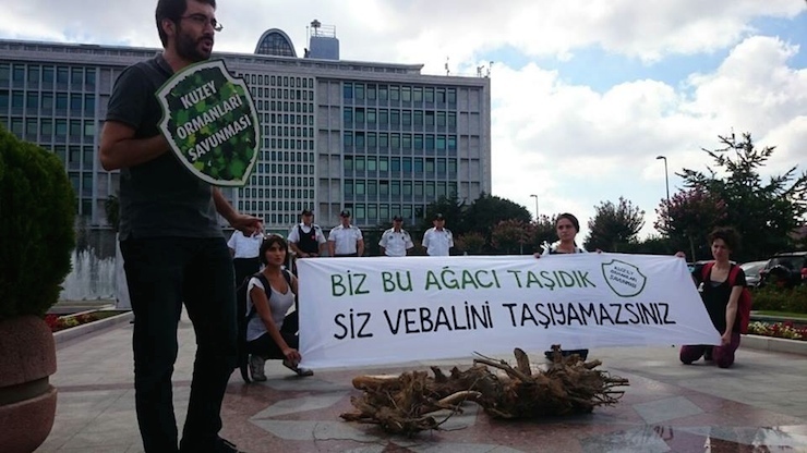 kuzey ormanlari savunmasi