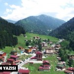 mehves evin yazi