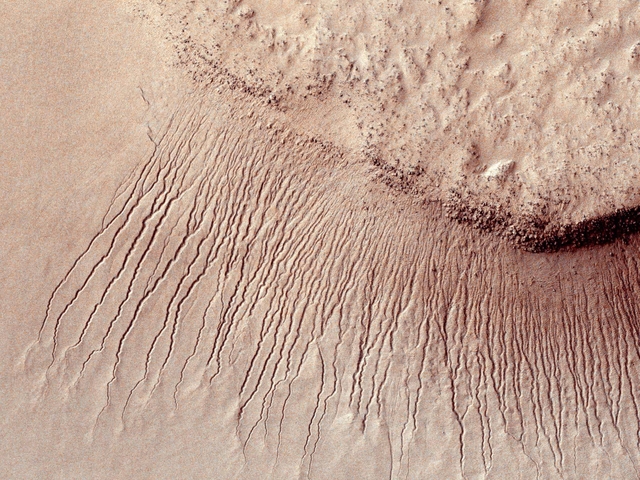 Portions of the Martian surface shot by NASA's Mars Reconnaissance Orbiter show many channels from 1 meter to 10 meters wide on a scarp in the Hellas impact basin, in this photograph taken January 14, 2011 and released by NASA March 9, 2011. Scientists have found the first evidence that briny water may flow on the surface of Mars during the planet's summer months, a paper published on Monday showed. Researchers found telltale fingerprints of salts that form only in the presence of water in narrow channels cut into cliff walls throughout the planet's equatorial region. REUTERS/NASA/JPL-Caltech/Univ. of Arizona/Handout FOR EDITORIAL USE ONLY. NOT FOR SALE FOR MARKETING OR ADVERTISING CAMPAIGNS. THIS IMAGE HAS BEEN SUPPLIED BY A THIRD PARTY. IT IS DISTRIBUTED, EXACTLY AS RECEIVED BY REUTERS, AS A SERVICE TO CLIENTS