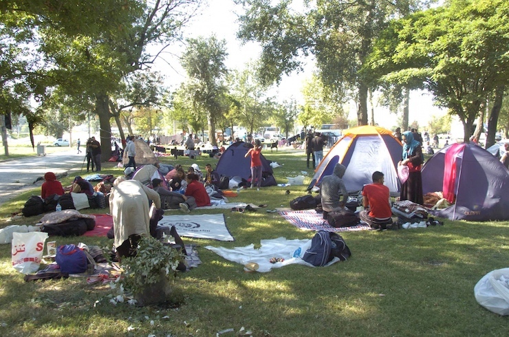 Fotoğraf: DHA