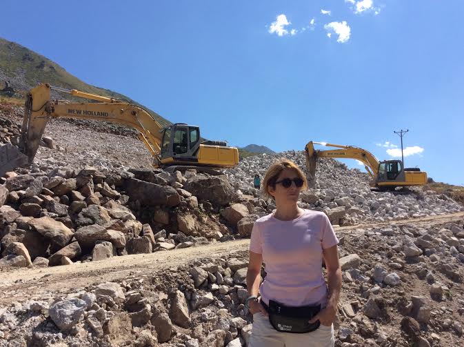 yesil yol insaat mehves