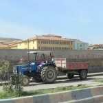 cizre nur banu