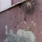 cizre nur banu13