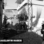 nur banu haber