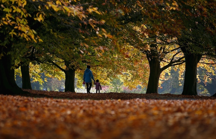 A woman and child walk through fallen leaves in Clarke's Gardens in Liverpool, northern Britain