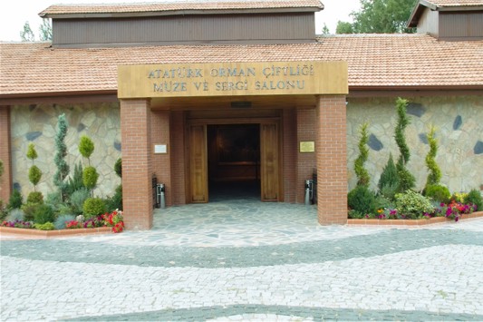 Fotoğraf: AOÇ