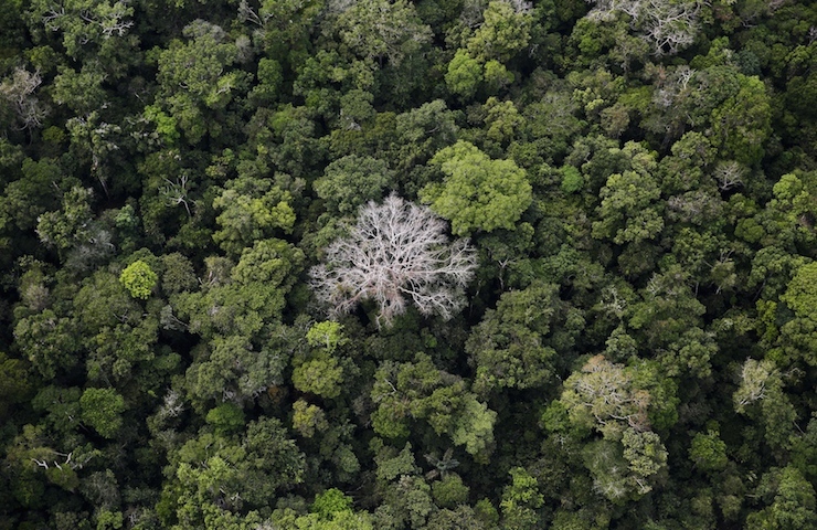 An aerial view shows the Amazon rainforest at the Bom Futuro National Forest near Rio Pardo in Porto Velho, Rondonia State, Brazil, September 3, 2015. The town of Rio Pardo, a settlement of about 4,000 people in the Amazon rainforest, rises where only jungle stood less than a quarter of a century ago. Loggers first cleared the forest followed by ranchers and farmers, then small merchants and prospectors. Brazil's government has stated a goal of eliminating illegal deforestation, but enforcing the law in remote corners like Rio Pardo is far from easy. REUTERS/Nacho Doce TPX IMAGES OF THE DAYPICTURE 1 OF 40 FOR WIDER IMAGE STORY "EARTHPRINTS: RIO PARDO" SEARCH"EARTHPRINTS PARDO" FOR ALL IMAGES