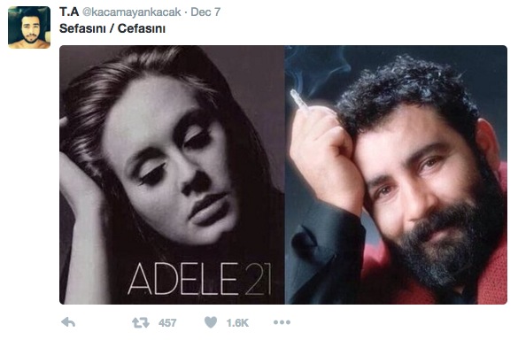 13_sefasini_cefasini_2