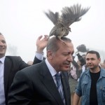Pictures of the Year 2015