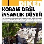 20150721 Diken