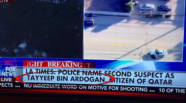 bin erdogan