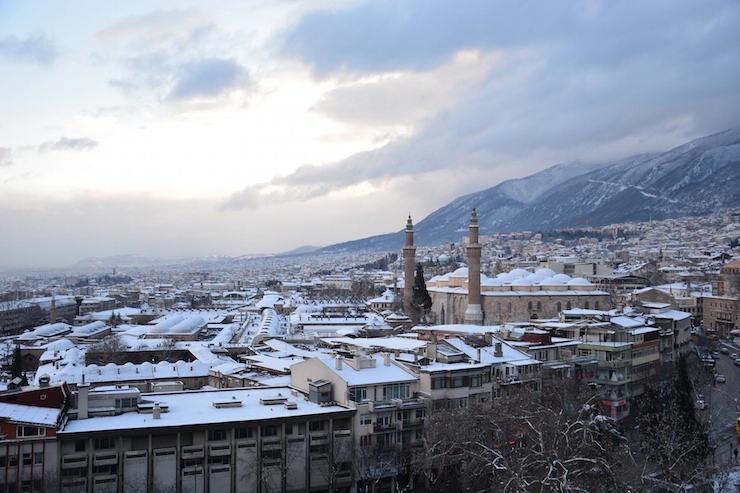bursa
