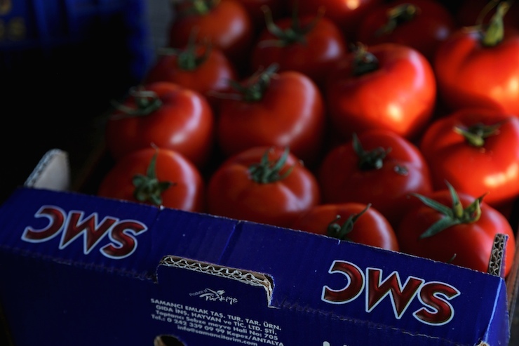 Packed tomatoes are seen just before they are loaded into trucks for shipment at a wholesale market in the Mediterranean resort city of Antalya, Turkey, November 30, 2015. REUTERS/Kaan Soyturk EDITORIAL USE ONLY. NO RESALES. NO ARCHIVE