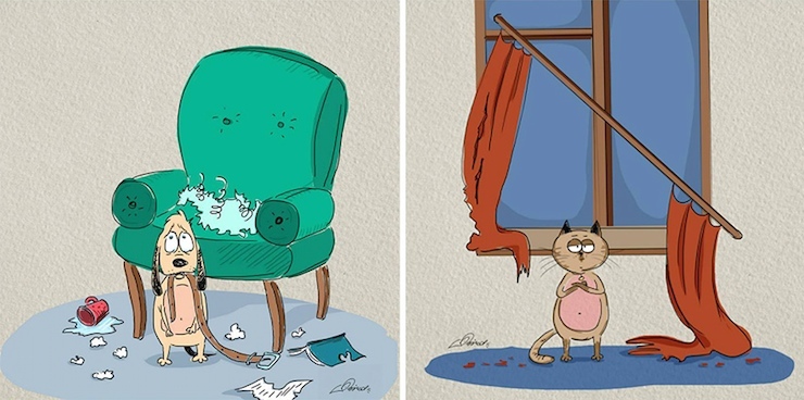 kedi kopek4