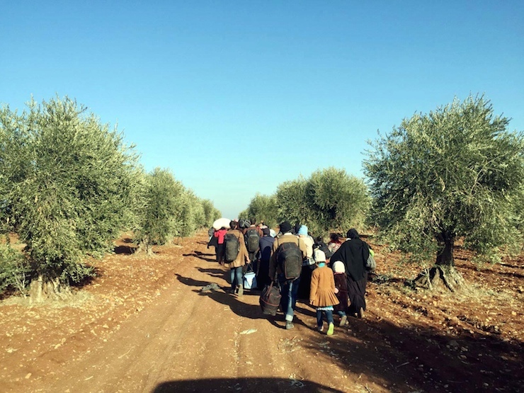 Fotoğraflar: DHA