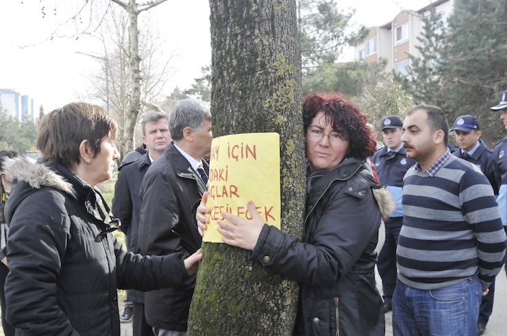 kocaeli tramvay agac
