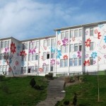 turk-isvec-ilkokulu (1)