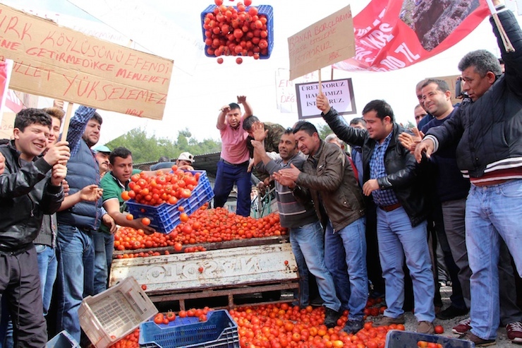 Fotoğraflar: DHA