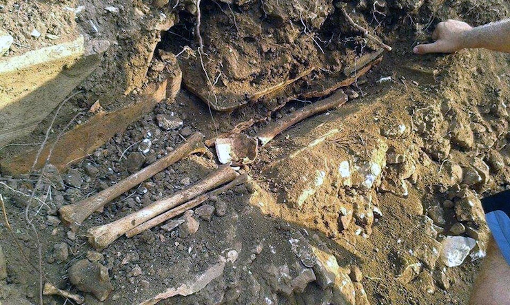 Fotoğraflar: DHA