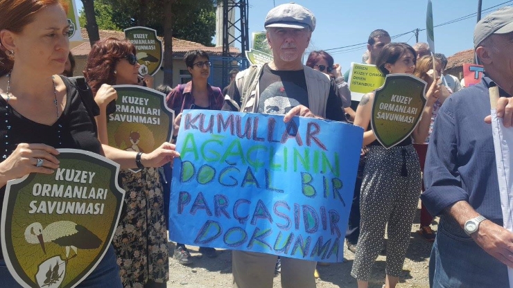 agacli tas ocagi2