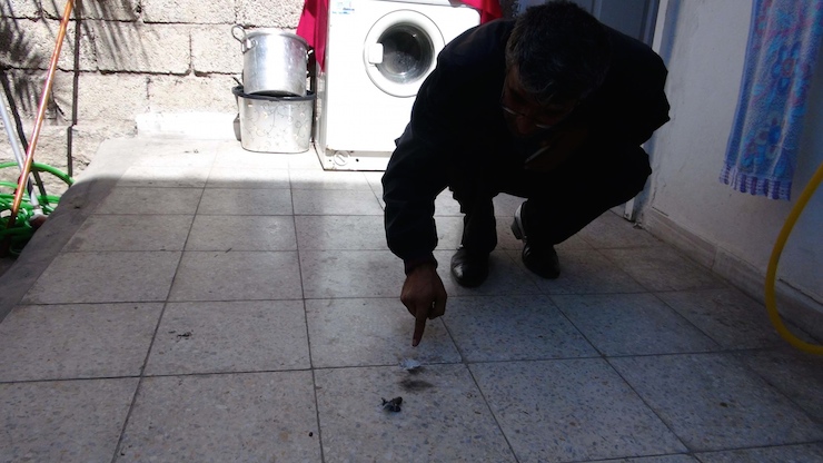 Fotoğraflar: DHA