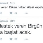 12_diken