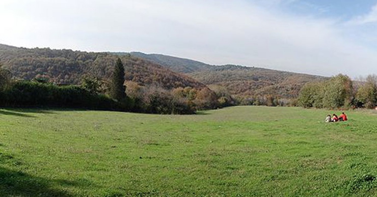 Polenezkoy