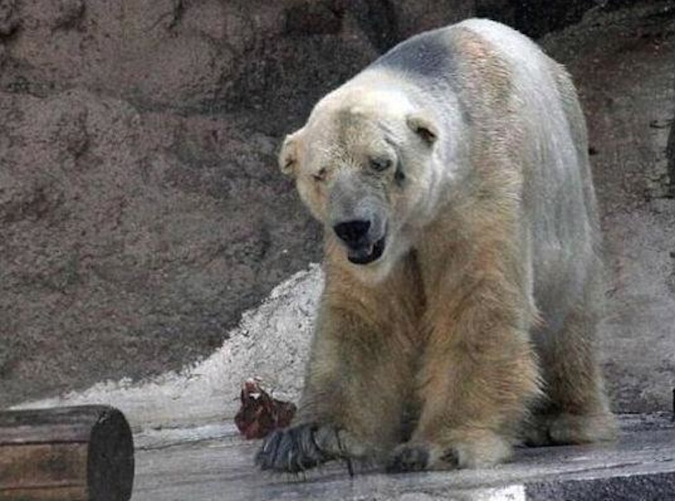 arturo