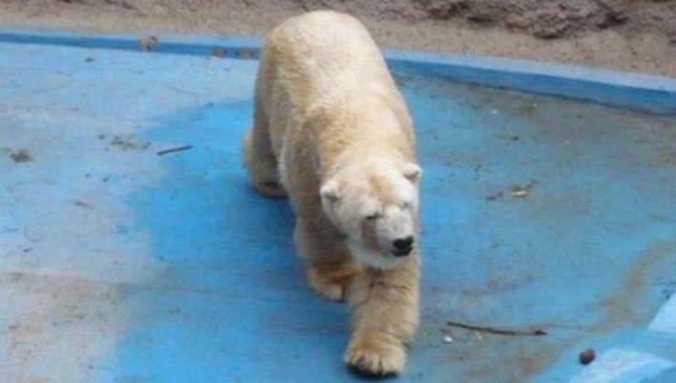 arturo1