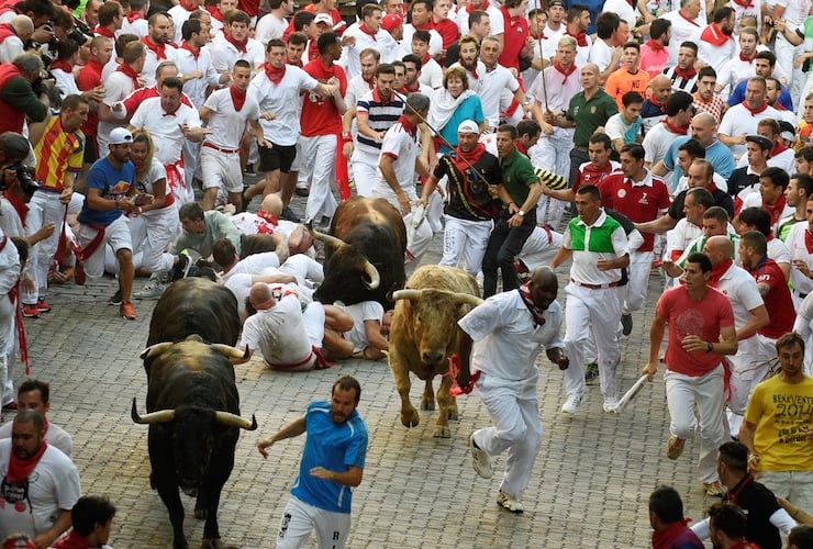 boga festivali14