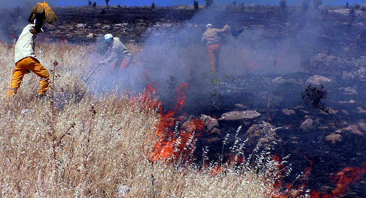 Fotoğraflar: DHA