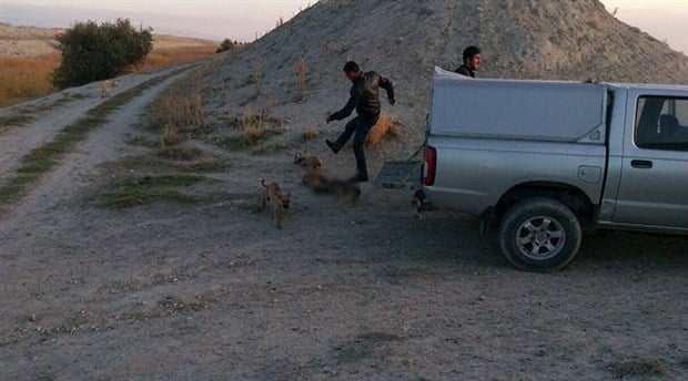 Fotoğraf: Birgün