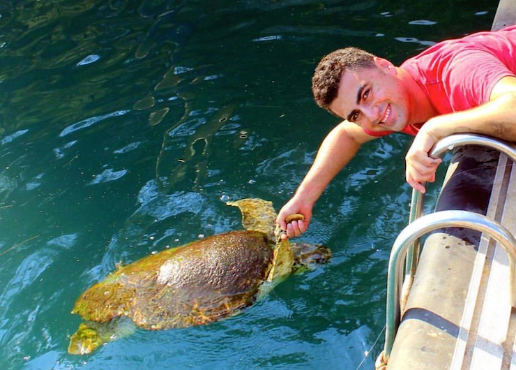 caretta caretta saldiri3