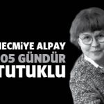 necmiyealpay105gun