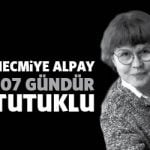 necmiyealpay107gun