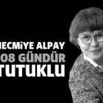 necmiyealpay108gun